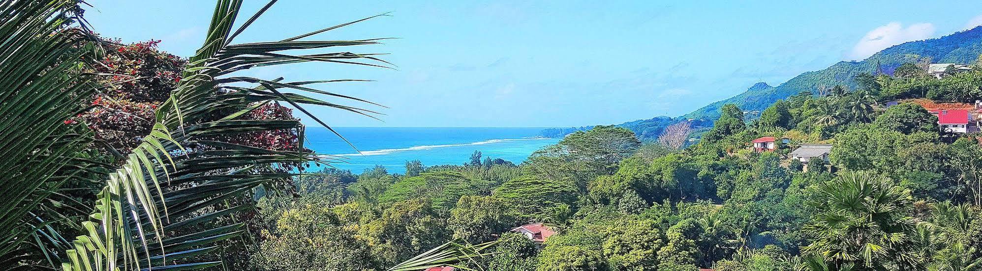 Lime Hill Lodge Anse aux Pins Eksteriør billede